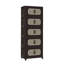 Retro Brown, armoire de rangement pliante latérale de 20 po de large, 5 niveaux, 19,69 po x 11,81 po x 50,00 po, bacs de rangement pliables avec porte magnétique, armoire de rangement en plastique avec roues-2089638501