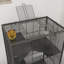 Hamster Cage-108204419