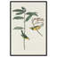 Art botanique par Art Remedy, impression sur toile-118171540-118171539