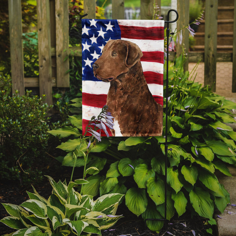 2 côtés en polyester de 2 côtés american drapeau de jardin, Retriever à poil frisé