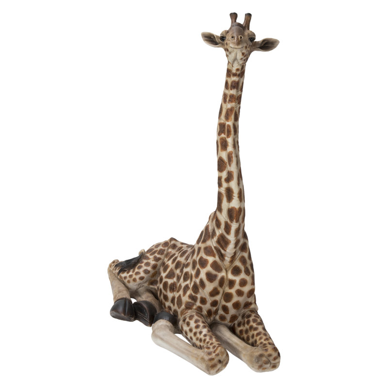 Bébé girafe allongée