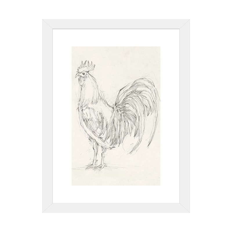 « Rooster sketch II » par Ethan Harper, reproduction d’art, Papier encadré blanc, H 24 po x l 16 po x P 1 po, Blanc