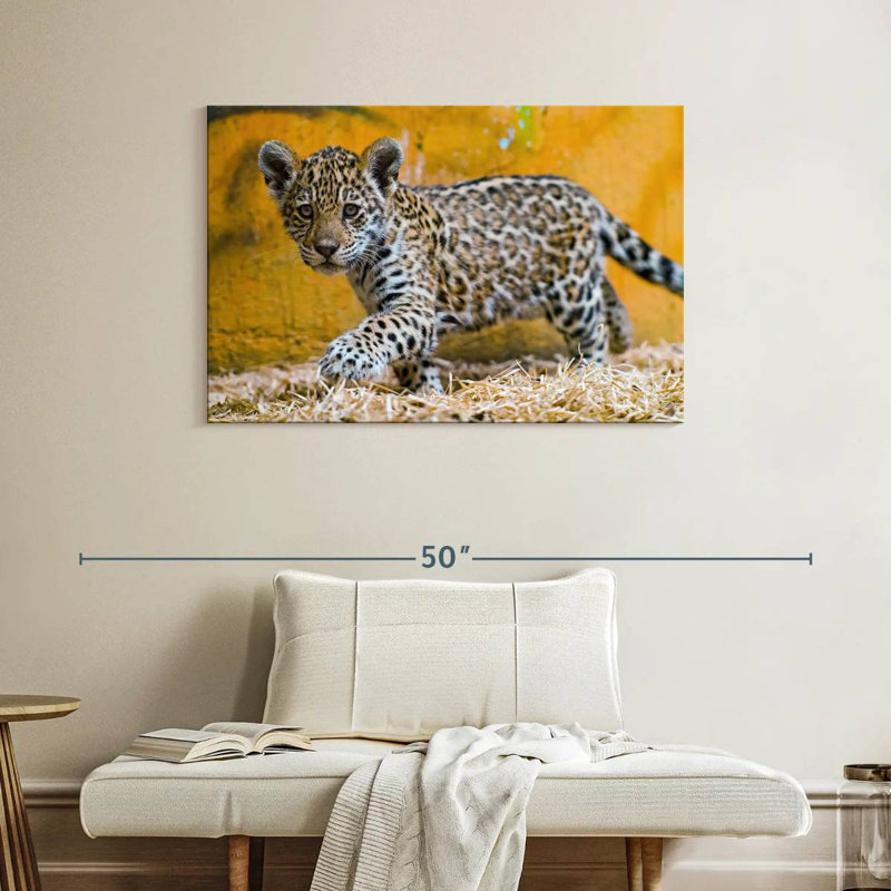 Brampt Jaguar Cub, 26" H x 39" W