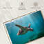Tortue de mer Brampt Martinique-108690404
