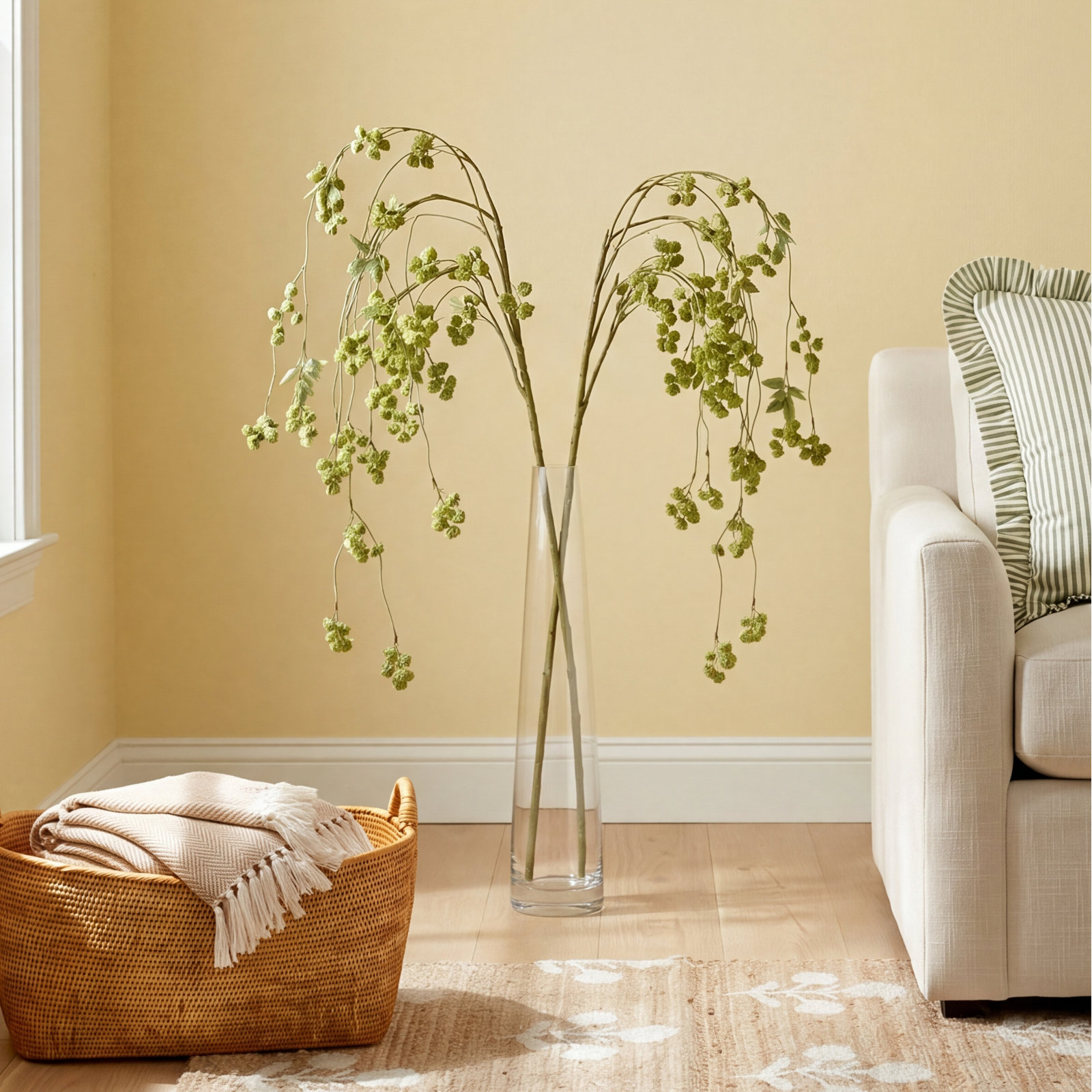 Irish Moss Stems