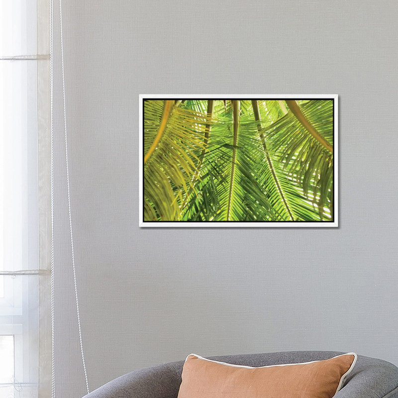 Green Palm Fronds by Mark Paulda - Print on Canvas, 45.72cm H x 66.04cm W x 3.81cm D, White Floater Framed