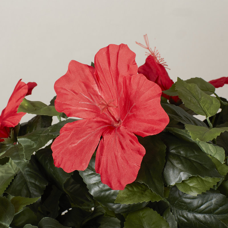Alkis 48-Inch Hibiscus Artificial Plant, Pink