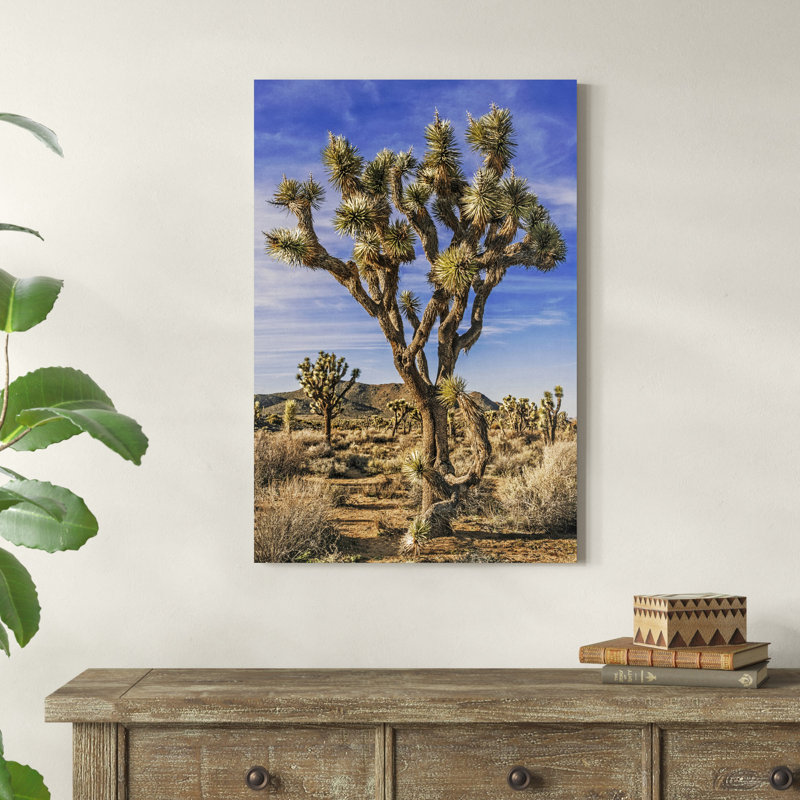 Vue de l'arbre de Josué III, H 36 po x l 24 po x P 1,25 po