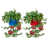 Blue/Red is out of stock