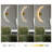 Ahni LED Flush Mounted Sconce-981494928