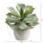 11'' Faux Succulent in Pot