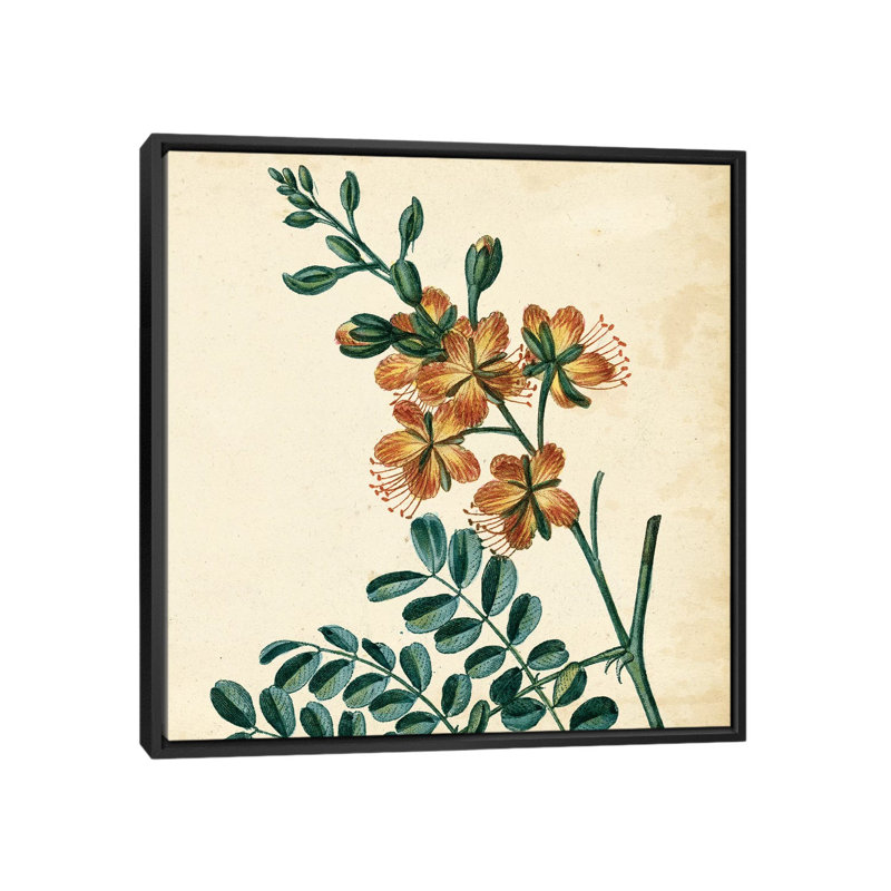 « iii », reproduction d’art sur toile tendue Garden Bounty, H 18 po x l 18 po x P 1,5 po, Toile avec cadre flottant noir