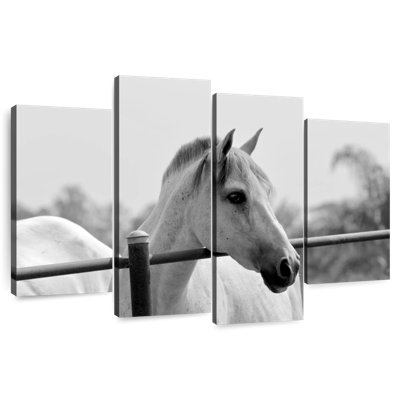 Cheval Brampt au-dessus d'une clôture en noir et blanc