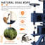 Derrell Multi-Level Cat Tree Tower-557827061-565261239