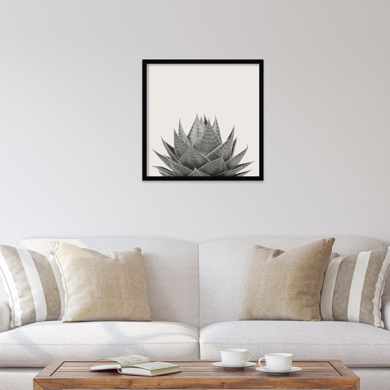 «Haze Aloe Succulent» par The Creative Bunch Studio - photographie avec cadre photo, H 25 po x l 25 po, Cadre noir