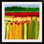 Nolani Skagit Fields in Red No 2 'par Jennifer Lommers - reproduction