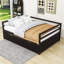 Yeimi Wood Twin Daybed with Twin Trundle-1268079715