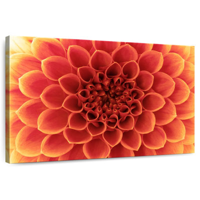 Dahlia orange Harnek