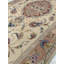 Oriental Area Rug in Ivory