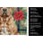 Dogue de Bordeaux Christmas PoinsettIas Kitchen Towel-2080583753