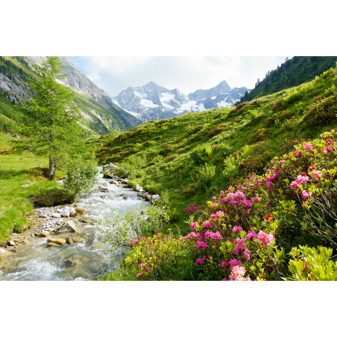 Leinwandbild Bergfluss mit Alpenrosen in den Alpen im Frühling