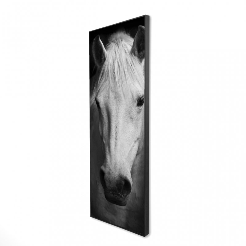«Cheval monochrome» sur