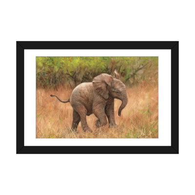 «Baby African Elephant», impression sur toile