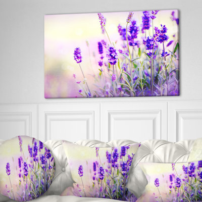 " Purple Lavender Field "