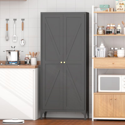 Armoire de rangement réglable en métal à 2 portes - Armoire de cuisine - avec tablettes réglables, grand casier en acier pour la cuisine, le salon, la salle à manger et le bureau