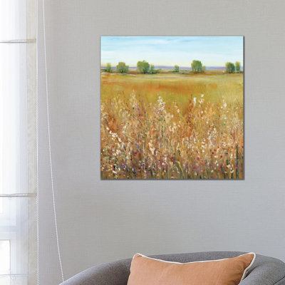Abundance Of Wildflowers I by Tim OToole - Wrapped Canvas Gallery-Wrapped Canvas Giclée