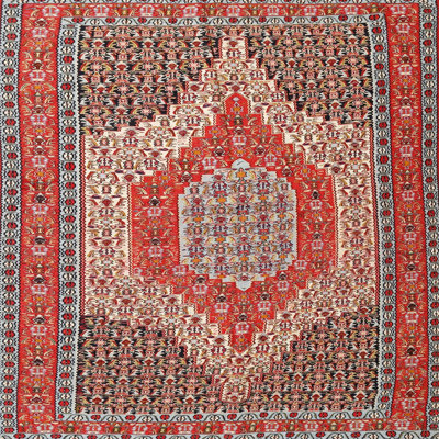 Oriental Indoor Rug