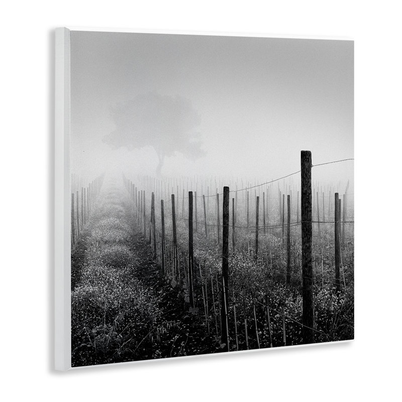 «Vineyard at Dawn» par Chip Forelli