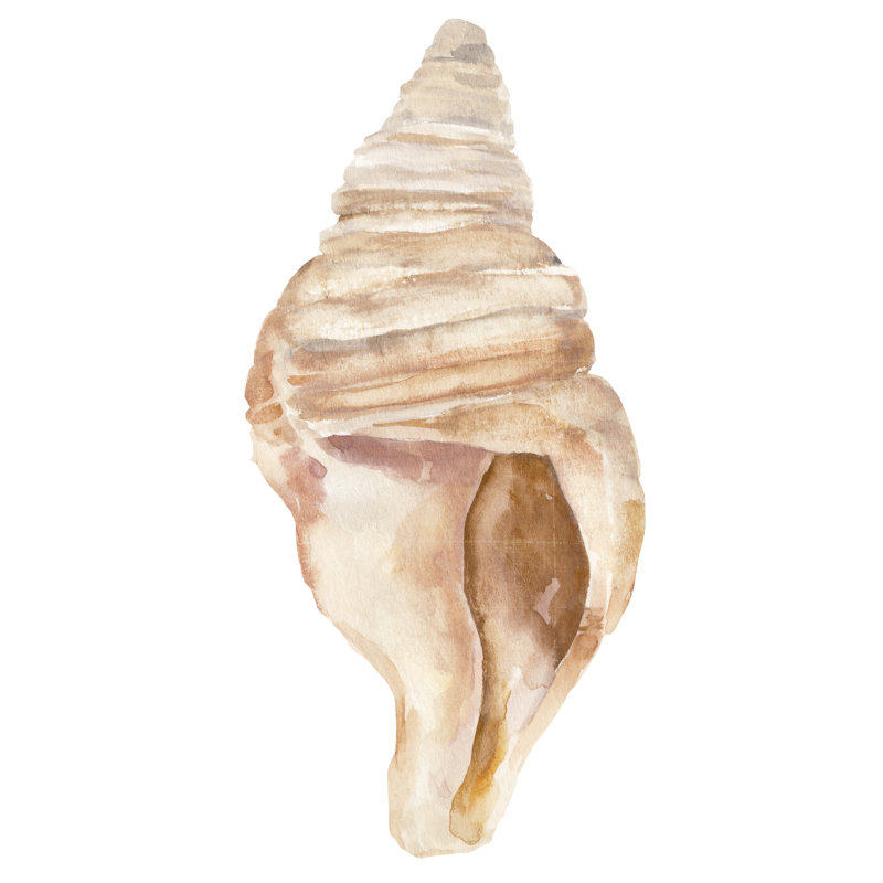 Seashell II - Painting, 122 cm H x 81 cm W, Black Floater Frame
