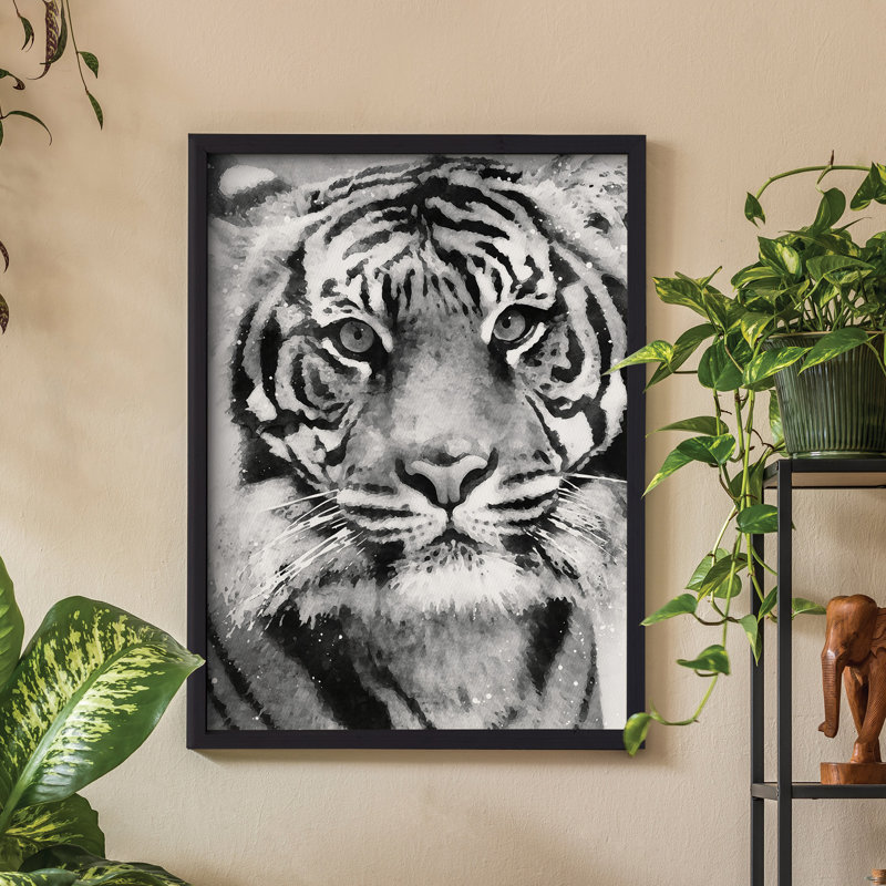 B&W Tiger