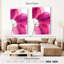 Harnek Bougainvillée-108227258