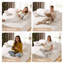 Chaise longue modulaire à compression double 78 po rembourrée en velours désossé avec coussins, sans assemblage requis-416410702
