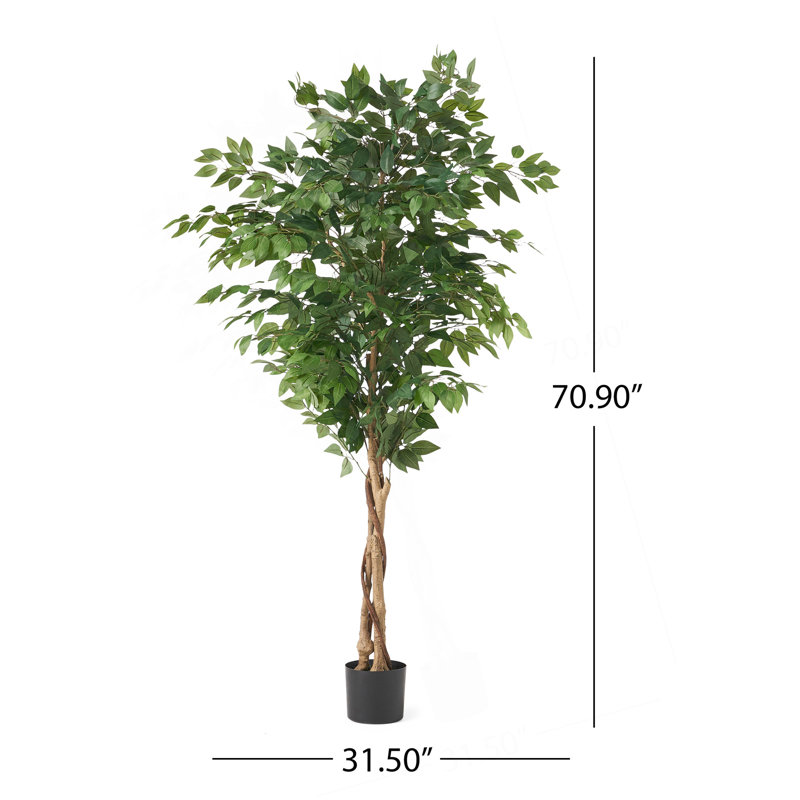 Ficus artificiel, 70,9 po x 31,5 po
