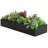 6 " H Faux Succulent