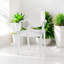 Modern Clear Plastic Dining Chair - Stackable Side Chair for Kitchen, Dining Room, Office and Indoor & Outdoor Use