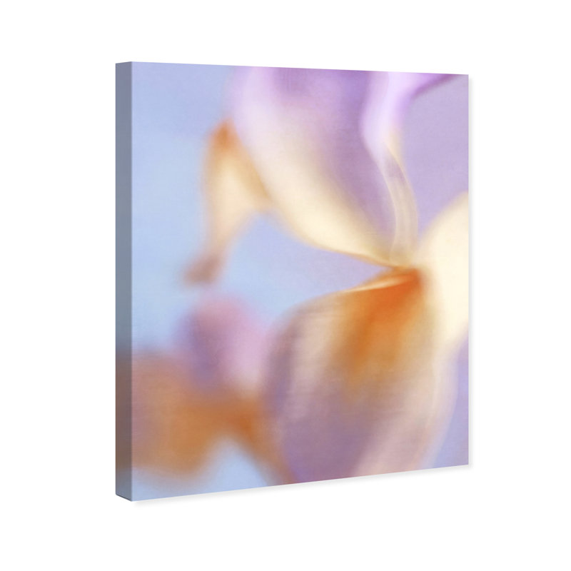 Blurred Venus Print by Oliver Gal, 16"H x 20"W, Gallery Wrapped