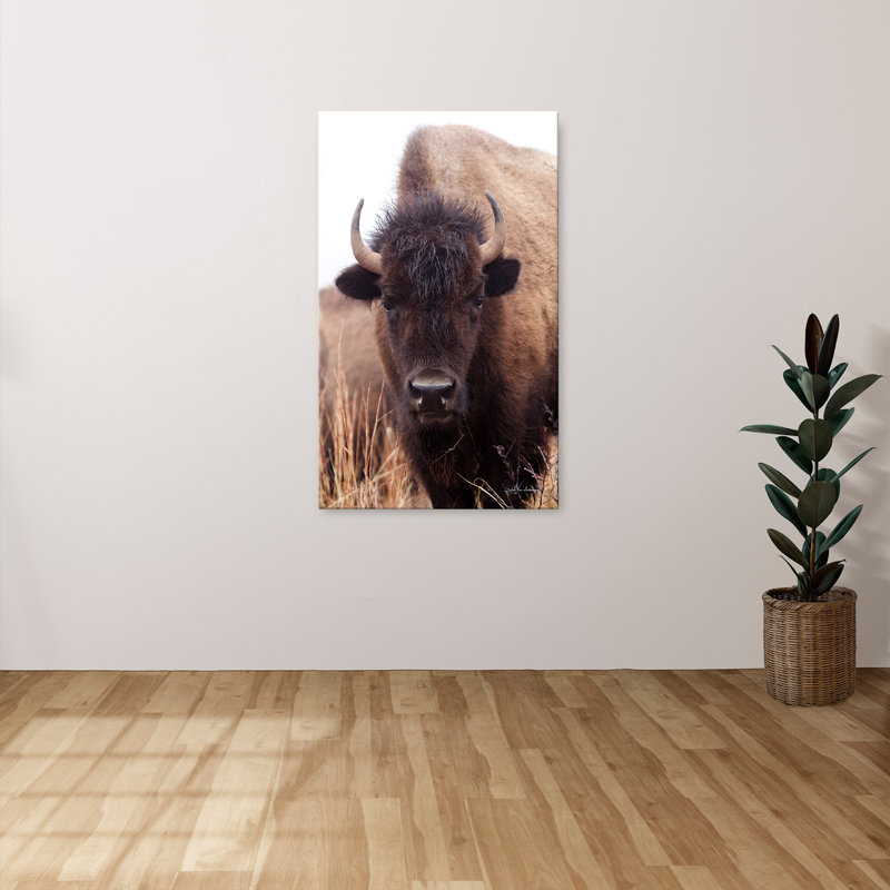 "American Bison IV" par Debra Van Swearingen, reproduction sur toile, H 24 po x l 40 po
