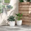 Pot Planter-600870899-600870897