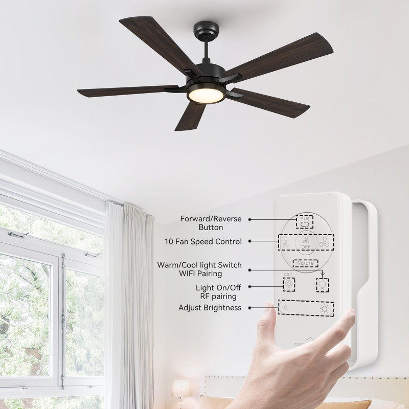 Lacurtis 56'' Ceiling Fan with LED Lights