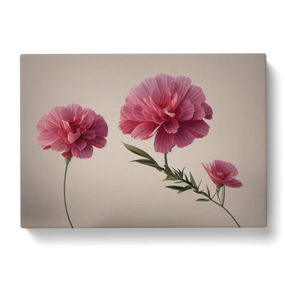 Positive Carnation Flowers - Wrapped Canvas