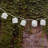 Kennon Outdoor 10 - Bulb 84'' Plug-in LED Novelty String Light