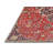 Oriental Indoor Rug-1709772508