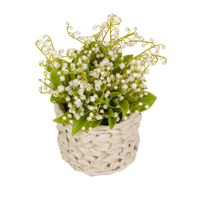 Muguet dans un panier blanc