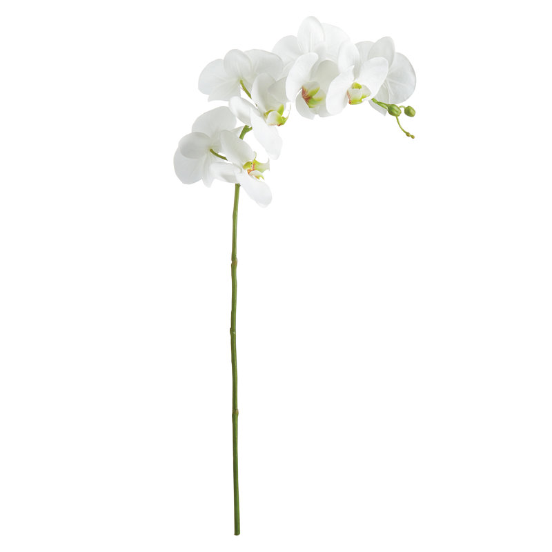TIGE D'ORCHIDÉE PHALAENOPSIS 28 po, Blanc