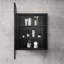 Armoire à pharmacie Miroir à fixation murale ou encastré pour salle de bain ou salon