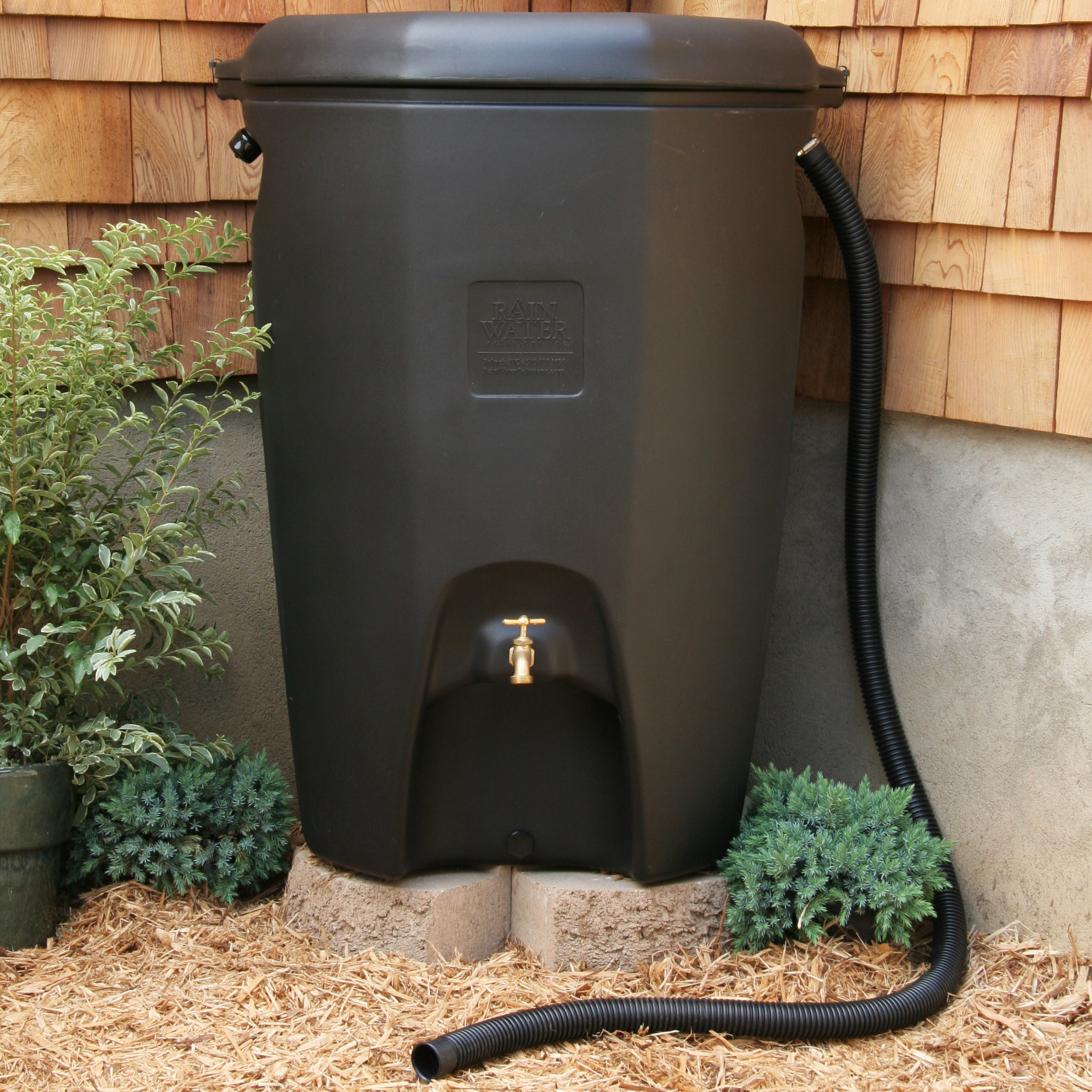 Rain Water Solutions Moby 65 Gallon Rain Barrel & Reviews Wayfair Canada